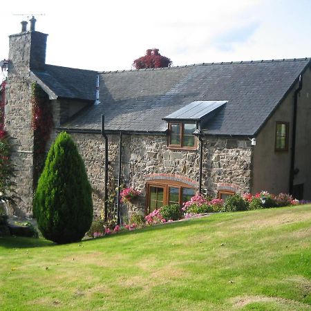 Tan Y Graig Bed and Breakfast Meifod Eksteriør billede