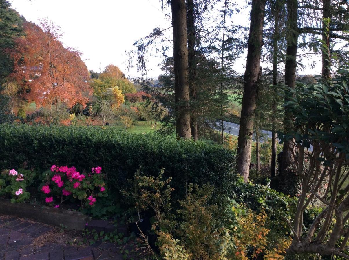 Tan Y Graig Bed and Breakfast Meifod Eksteriør billede