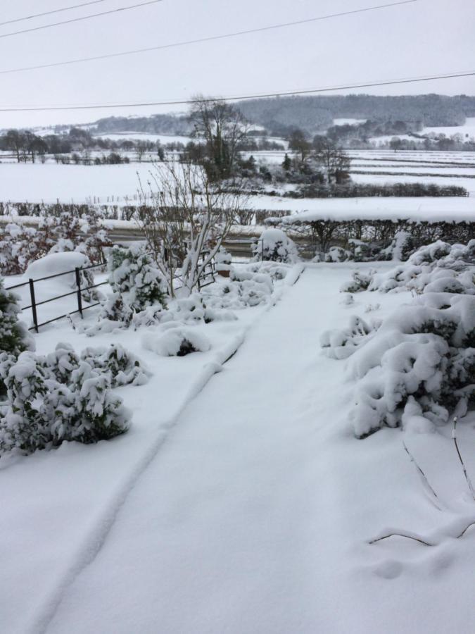 Tan Y Graig Bed and Breakfast Meifod Eksteriør billede